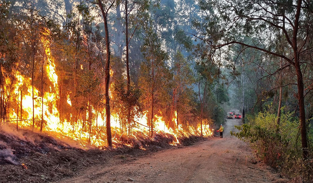 NPWS Fire Crew conducting a Hazard Reduction Burm at Boonanghi Nature Reserve. Credit: Nicola Brookhouse &copy; DCCEEW