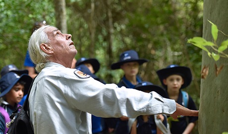An Aboriginal guide taking students on a bushwalk on an Aboriginal culture school excursion in Blue Gum Hills Regional Park. Photo: Adam Hollingworth © DPIE