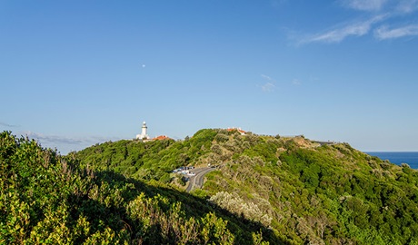 View of Walgun Cape Byron State Conservation Area. Photo: John Spencer &copy; DCCEEW