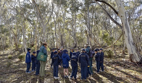 Primary school students on an excursion in Kosciuszko National Park. Photo: Adam Hollingworth &copy DPIE