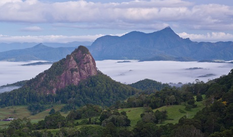 View of landscape with Wollumbin in the background. Photo: Janelle Lugge &copy; Connect Adventures
