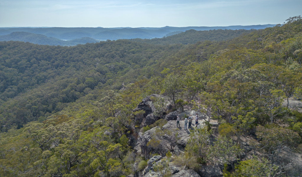 Aerial shot of people on tour in Muogamarra National Park. Photo: John Spencer &copy; DCCEEW