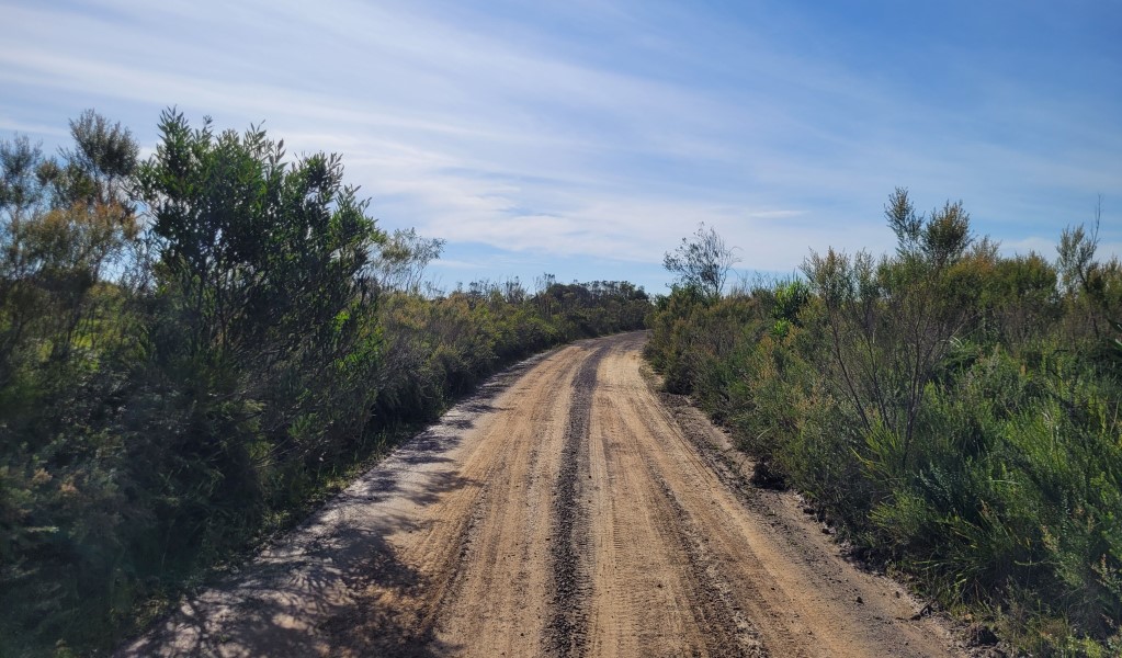 Hersey trail and surrounding heathlands under the hot sun in Budderoo National Park. Photo: Jemillah Forbes &copy; DCCEEW