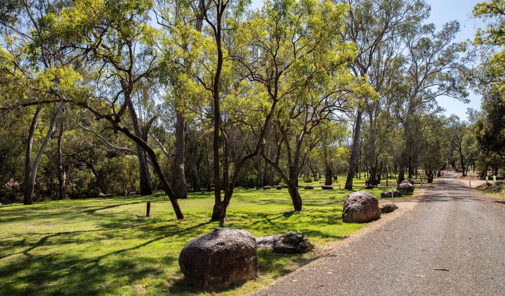 The road into Lemon Tree Flat campground in Kwiambal National Park. Photo: Simon Scott &copy; DCCEEW