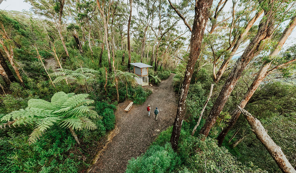 Aerial view of walkers arriving at Yelgun Kyoomgun campground. Credit: Daniel Parsons/DCCEEW &copy; Daniel Parsons