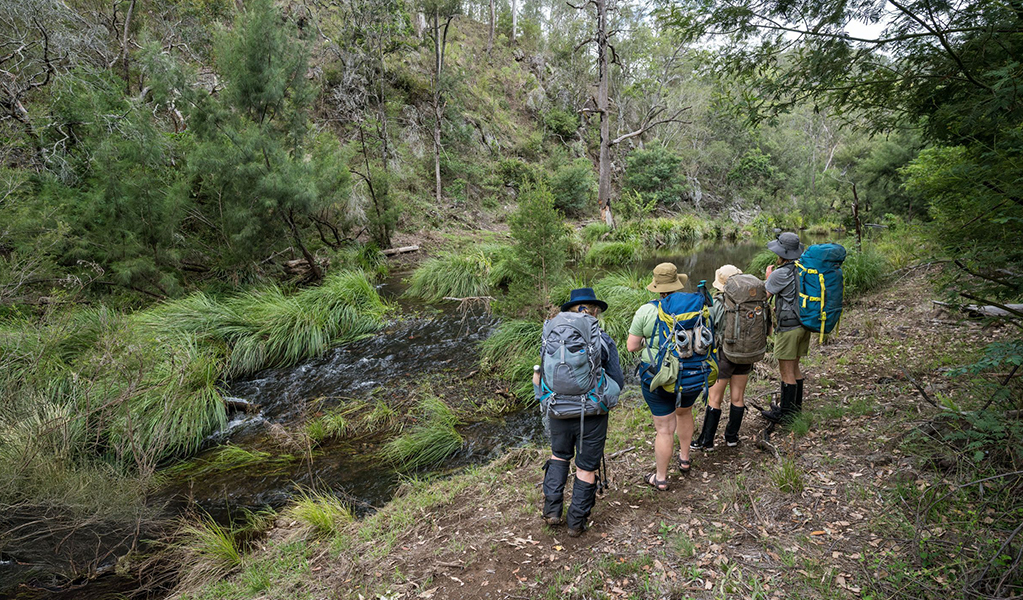 Group of hikers survey the next creek they need to cross on The Green Gully Track. Credit: David Waugh &copy; DCCEEW