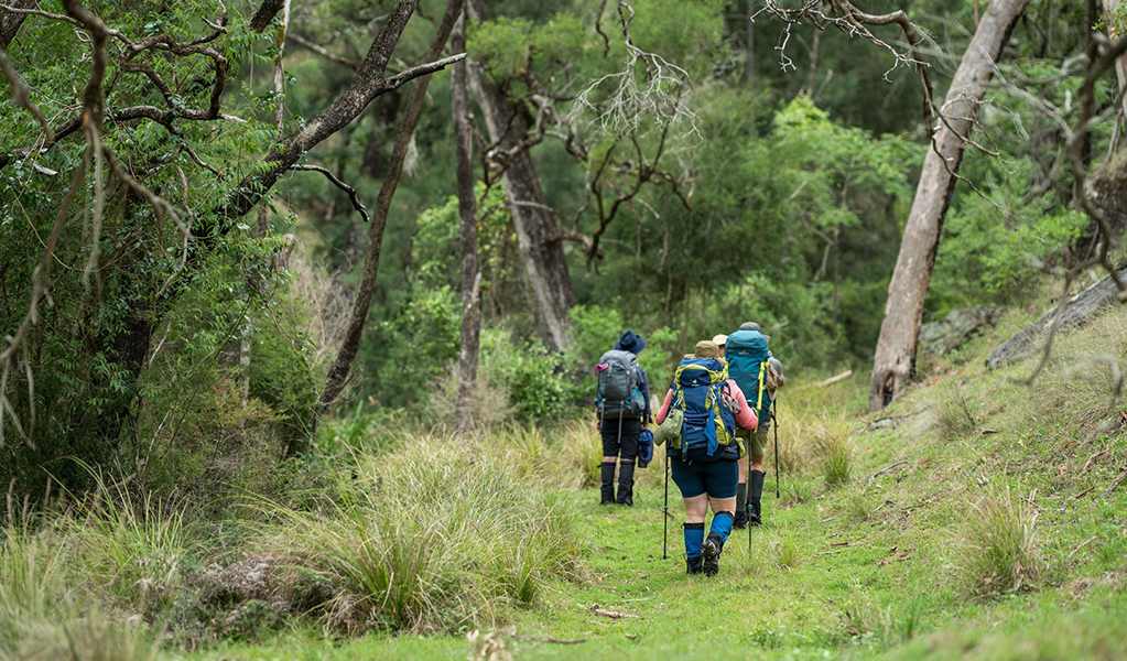 A group of walkers with large packs, walking poles, and boots with gaiters hike on Green Gully Track. Credit: David Waugh &copy; DCCEEW
