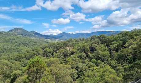 View of the Liverpool Range from the lookout point at the end of Range View track in Towarri National Park. Photo: Scott Monro &copy; DCCEEW