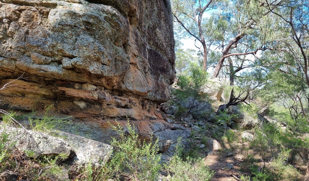 Tall rock walls along Range View track in Towarri National Park. Photo: Scott Monro &copy; DCCEEW