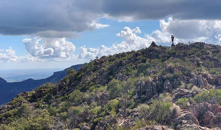 A bush walker stands next to a cairn on the rocky summit of Bluff Mountain.  Photo: Eveline Chan/OEH