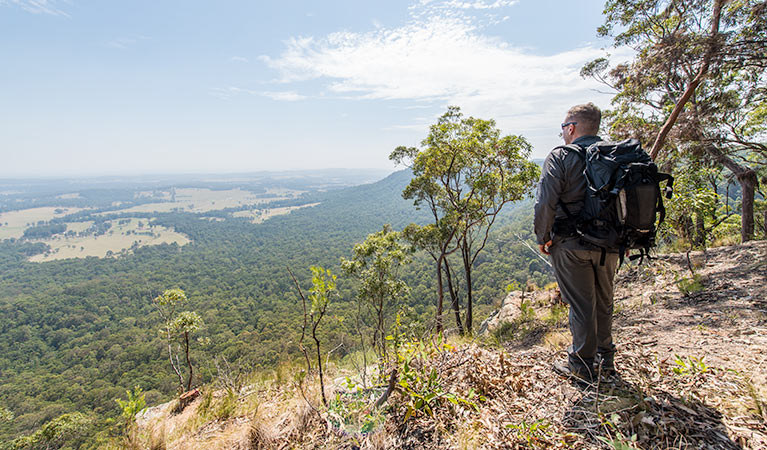 Great North walk, Watagans National Park. Photo: John Spencer &copy; OEH