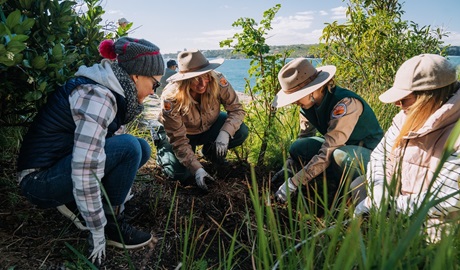 Volunteers and NPWS Discovery rangers work together on weeding and clean up at Middle Head, Sydney Harbour National Park. Credit: Remy Brand/DCCEEW &copy; the photographer