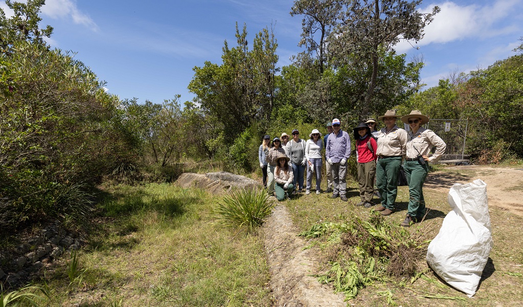 Corporate volunteers and NPWS staff pausing to note the work they've done and invasive weeds they've removed from the environment. Photo: Peter Taseski &copy; DCCEEW